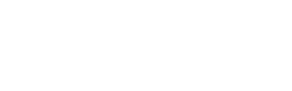 PlayStation Portable logo